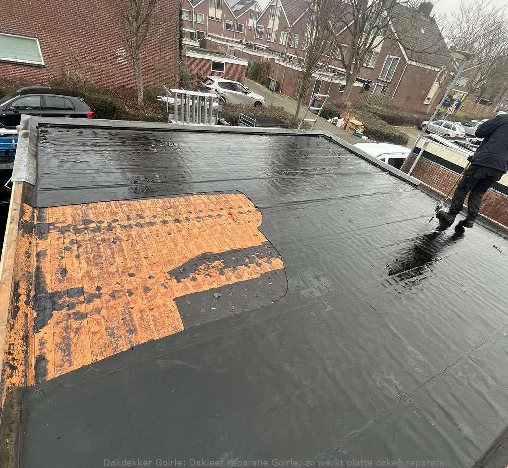 Dakleer Reparatie Goirle