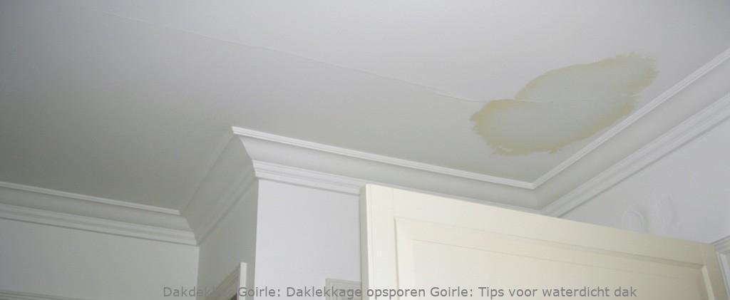 Daklekkage Opsporen Goirle 1