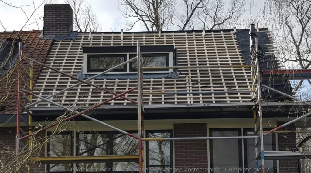 Dakpannen Vervangen Kosten Goirle