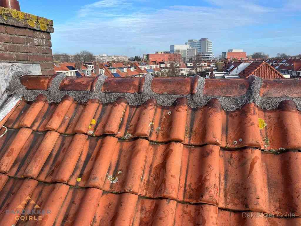 Goirle Daken Renoveren
