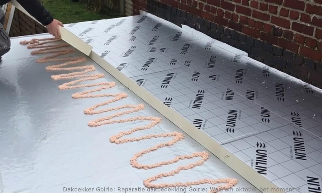 Reparatie Dakbedekking Goirle
