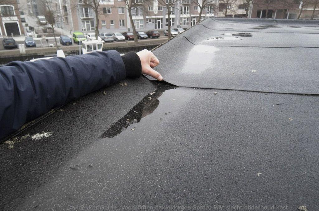 Voorkomen Daklekkages Goirle